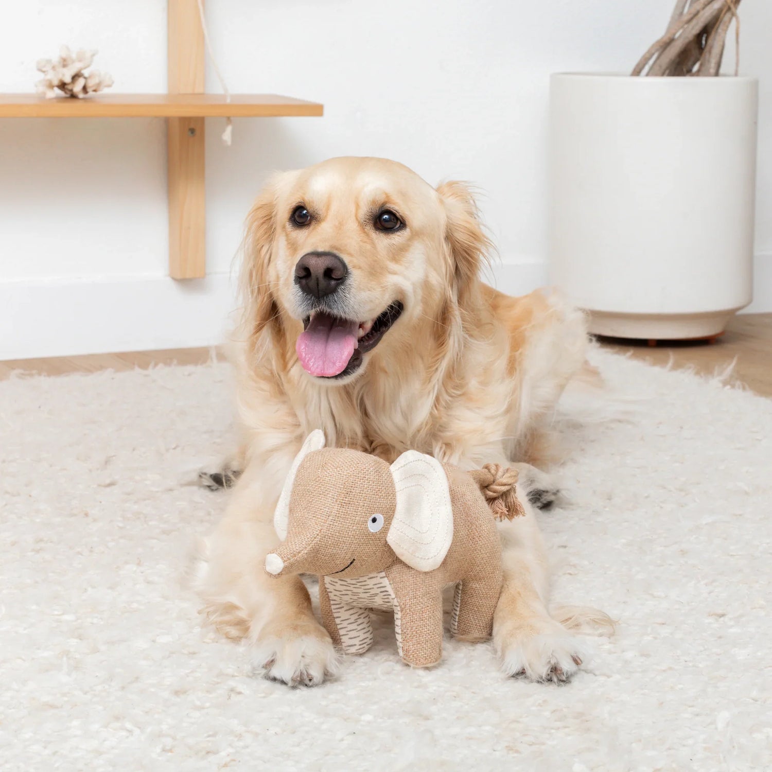 Spielzeug für Hunde