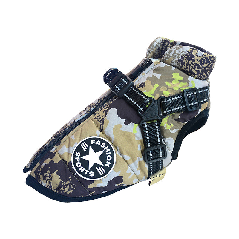 BlackPaw™ – Schutz & Komfort für kalte Tage